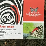 Photo taken by Solomon F