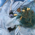 Photo taken by alton r