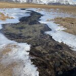 Photo taken by Lynn H