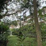 Photo taken by Les A