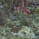 Photo taken by Emily K