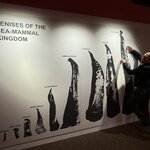 Photo taken by Kathy s