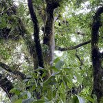 Photo taken by Mathew S