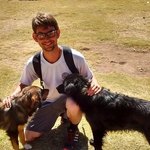 Traveling dogs | Photo taken by Gretchen M