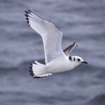 Photo taken by Yumi A