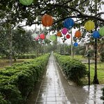 Photo taken by Anil C