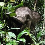 Photo taken by Judith D