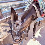 Photo taken by Patricia O