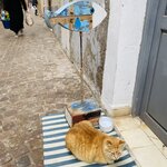 Photo taken by Diana G