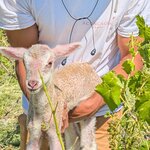 Photo taken by Colleen B