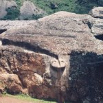 Local puma site-ing | Photo taken by Matt M