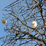 Photo taken by Jenny P