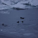 Photo taken by Iain M