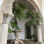 Photo taken by Lynn T