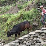 Photo taken by Ziyad H