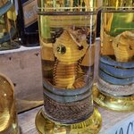 Photo taken by Stephen B