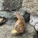 Photo taken by David B