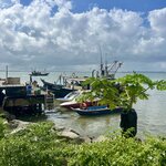 Photo taken by Rob C