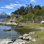 Photo taken by Yelena L