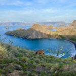 Photo taken by Judith D