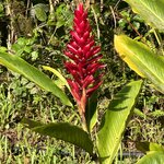 Photo taken by Randy H