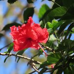 Photo taken by Pat K