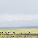 Photo taken by Deann M