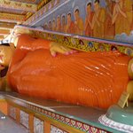 Photo taken by Alfred T