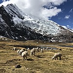 Photo taken by JOhn H