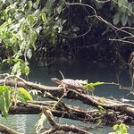 Photo taken by Mary K