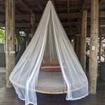 Photo taken by Daniel S