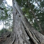 Photo taken by Daniel D