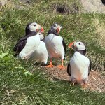 Photo taken by Lisa D