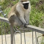 Photo taken by Michael L