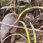 Photo taken by Adriene A