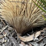 Photo taken by Rosemary S