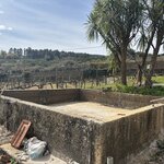 Photo taken by Drew O