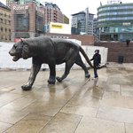 The tiger in Oslo | Photo taken by Julie R