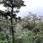 Photo taken by Victoria C