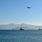 Photo taken by Steven B