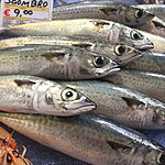 Photo taken by Allyson A