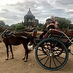 A romantic sunset carriage ride | Photo taken by Cynthia C