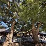 Photo taken by Glenda F