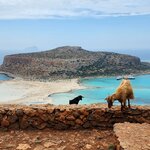 Photo taken by Matt M