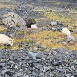 Photo taken by Eliza M