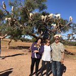 Goats in the Argan Trees | Photo taken by Rose A