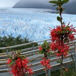 Photo taken by Yelena L