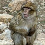 Photo taken by N.J. P