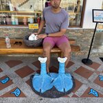 Photo taken by Narasimhachar P