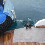 Photo taken by Richard P